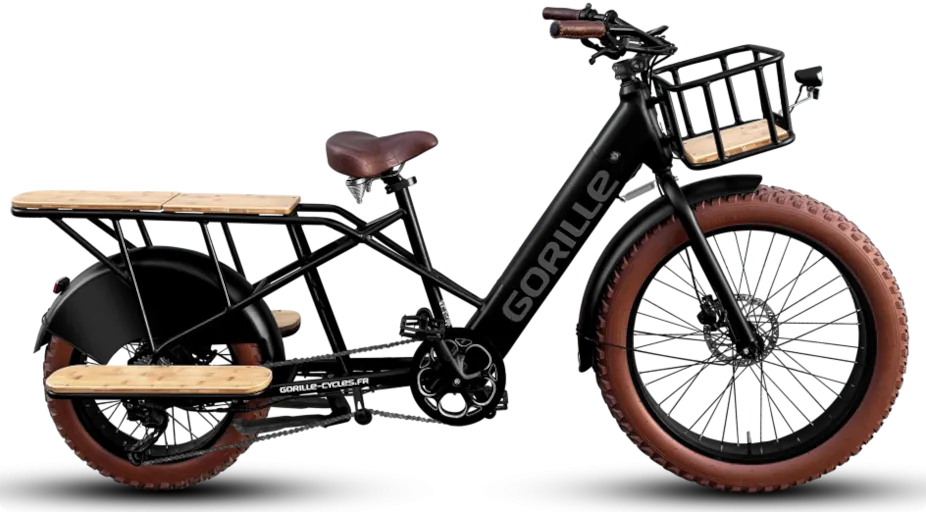 location vélo électrique cargo