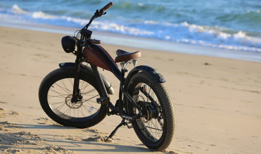 location fatbike cruiser électrique